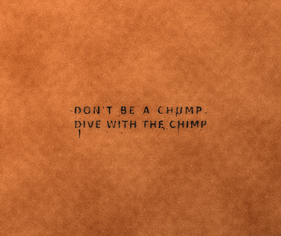 Scubachimp main body graphic